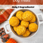 No-Bake Pumpkin Yogurt Dog Treats Only 3 Ingredients!