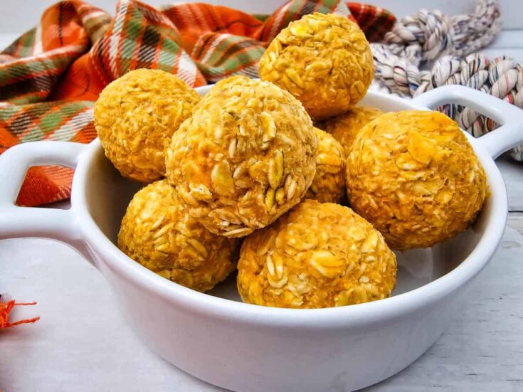 No-Bake Pumpkin Yogurt Dog Treats: Only 3 Ingredients!