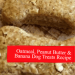 Oatmeal, Peanut Butter & Banana Dog Treats Recipe