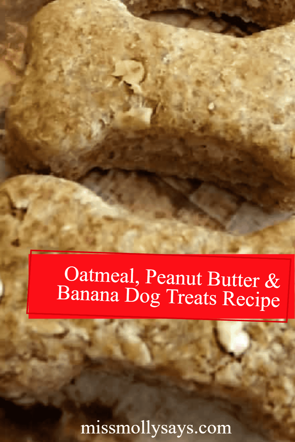 Beautiful view of Dog Oatmeal Banana Smoothie Recipe