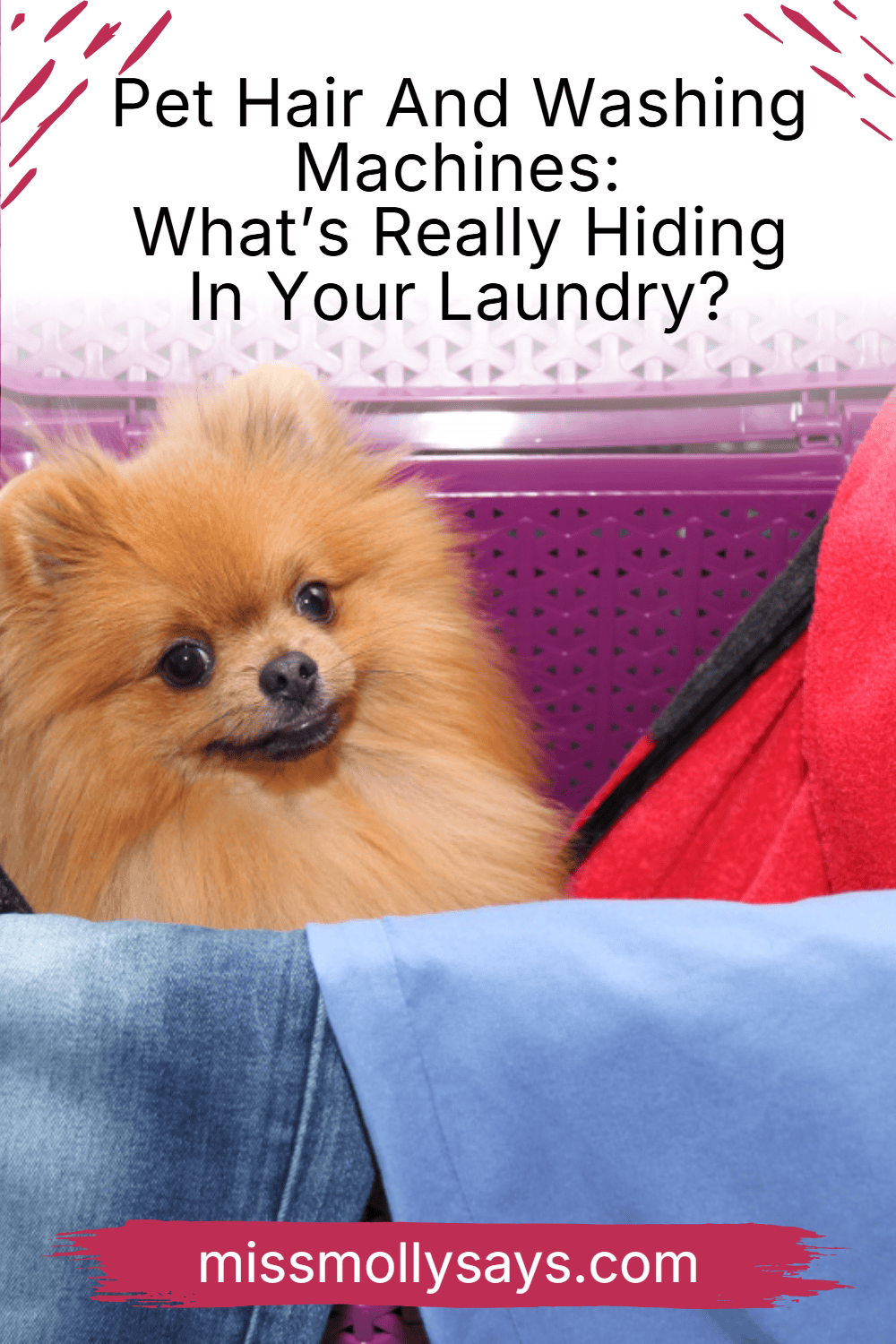 Pet Hair And Washing Machines: What's Really Hiding In Your Laundry?