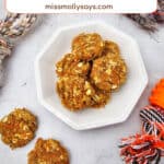 Carrot and Apple Dog Treat Recipe Your Dog Will Love