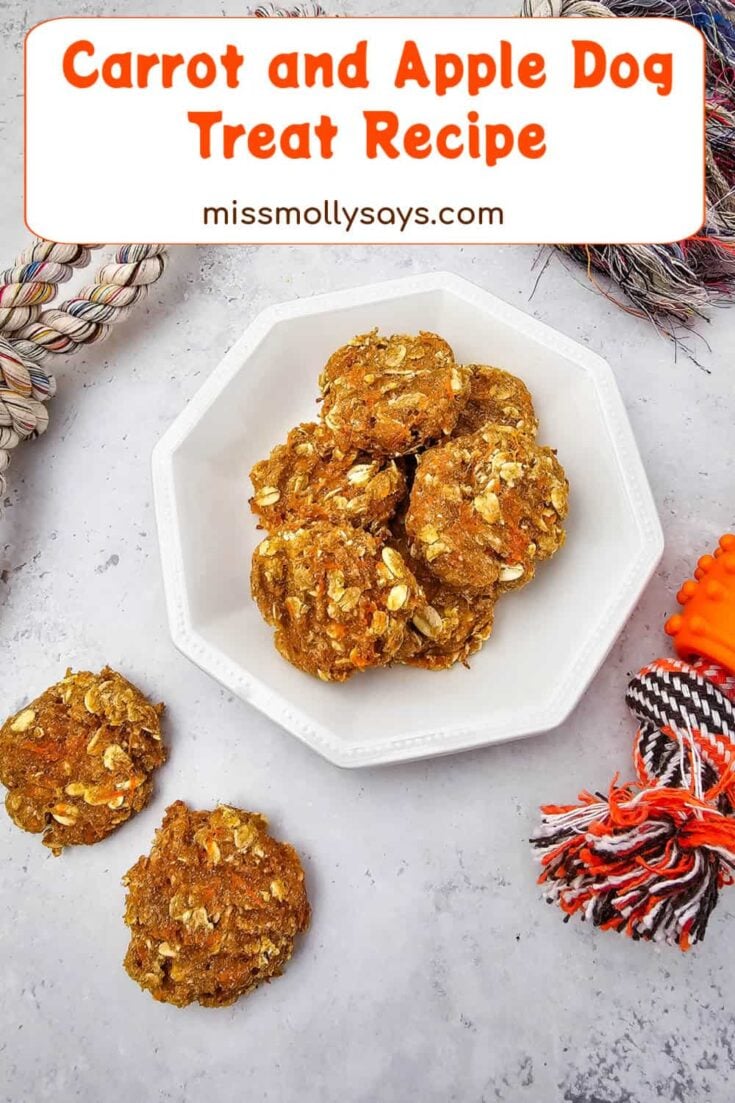 Carrot and Apple Dog Treat Recipe Your Dog Will Love - Miss Molly Says