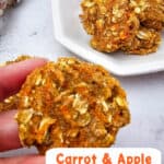 Carrot and Apple Dog Treat Recipe Your Dog Will Love