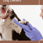 Common Dog Injuries: A Guide for Dog Owners