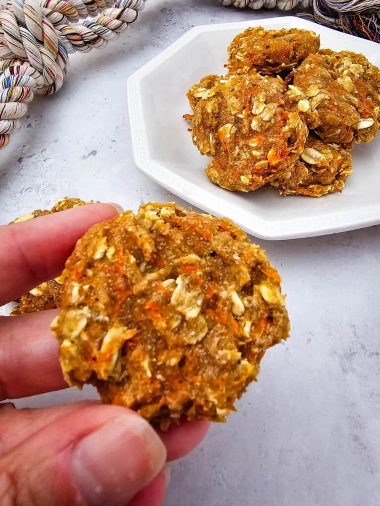 Carrot and Apple Dog Treat Recipe Your Dog Will Love - Miss Molly Says