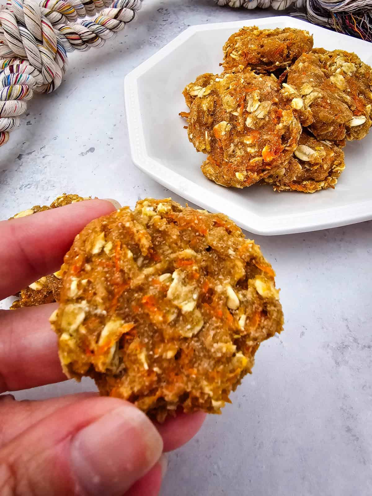 Holding a Carrot and Apple Dog Treat Holding a Carrot and Apple Dog Treat