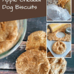 Homemade Apple Cheddar Dog Biscuits