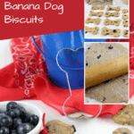 Homemade Blueberry and Banana Dog Biscuits