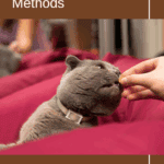 How to Give a Cat a Pill: 5 Easy Methods