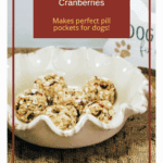 NO-BAKE Soft & Fruity Dog Treats with Apples & Cranberries Perfect for Pill Pockets