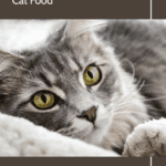 The Pros and Cons of Feeding Hairball Control Cat Food