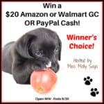 Win a $20 Walmart or Amazon GC or PayPal Cash