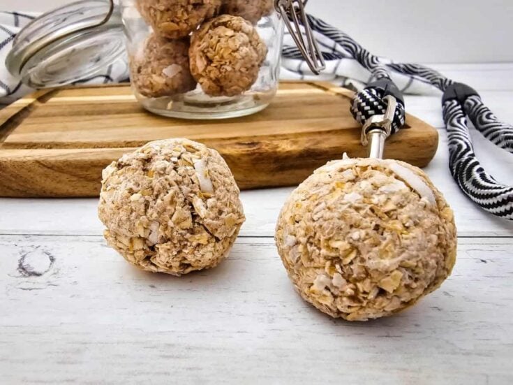 No-Bake Banana Coconut Dog Treats