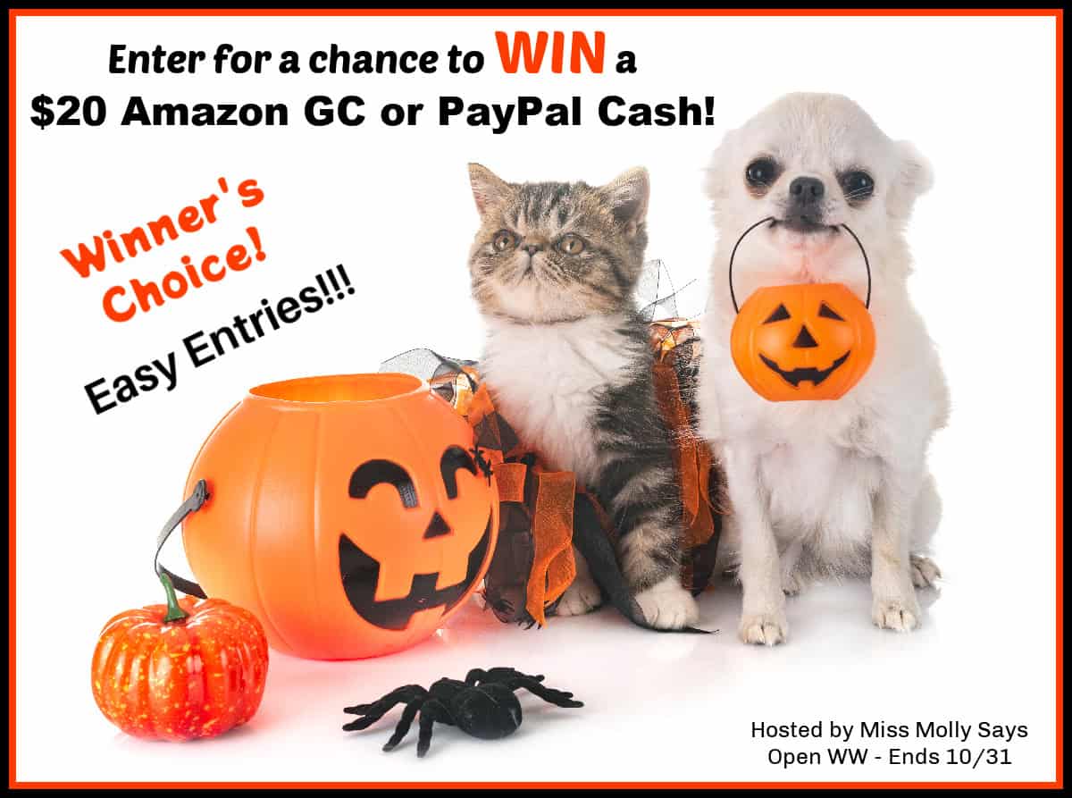 Enter for a chance to Win a $20 Amazon GC or PayPal Cash! Enter for a chance to Win a $20 Amazon GC or PayPal Cash!