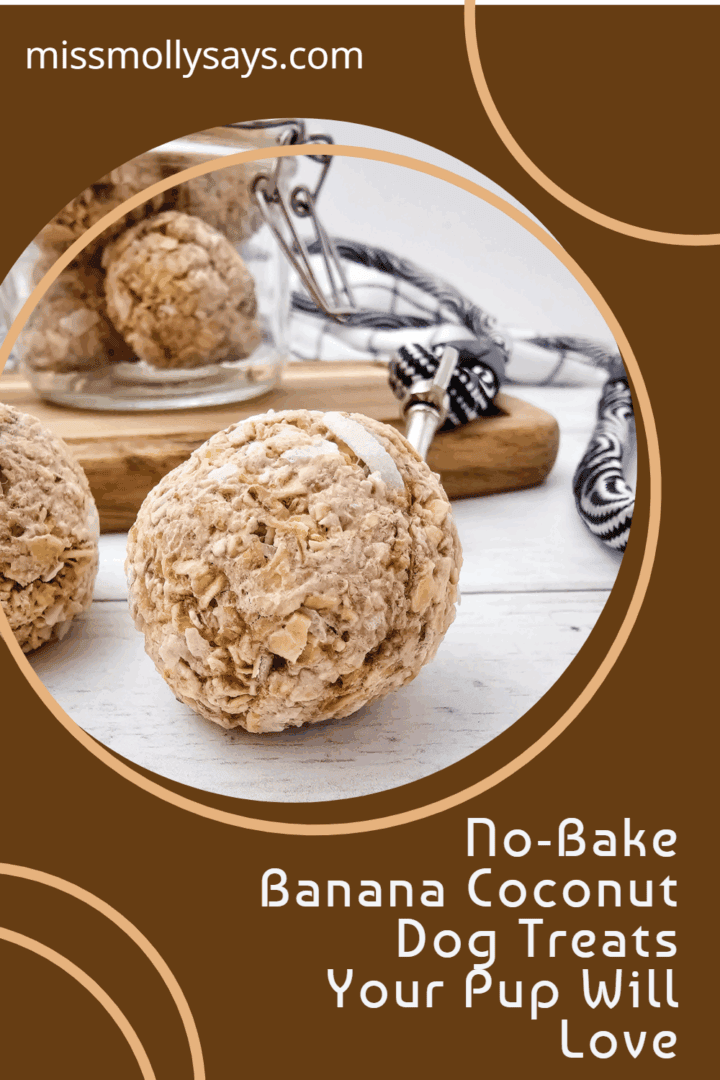 Curated visual reference: Fresh Look at No Bake Banana Coconut Dog Treats Recipe For Happy Pups