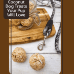 No-Bake Banana Coconut Dog Treats Your Pup Will Love