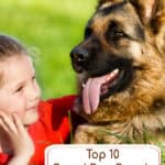 Top 10 Guard Dog Breeds for Families