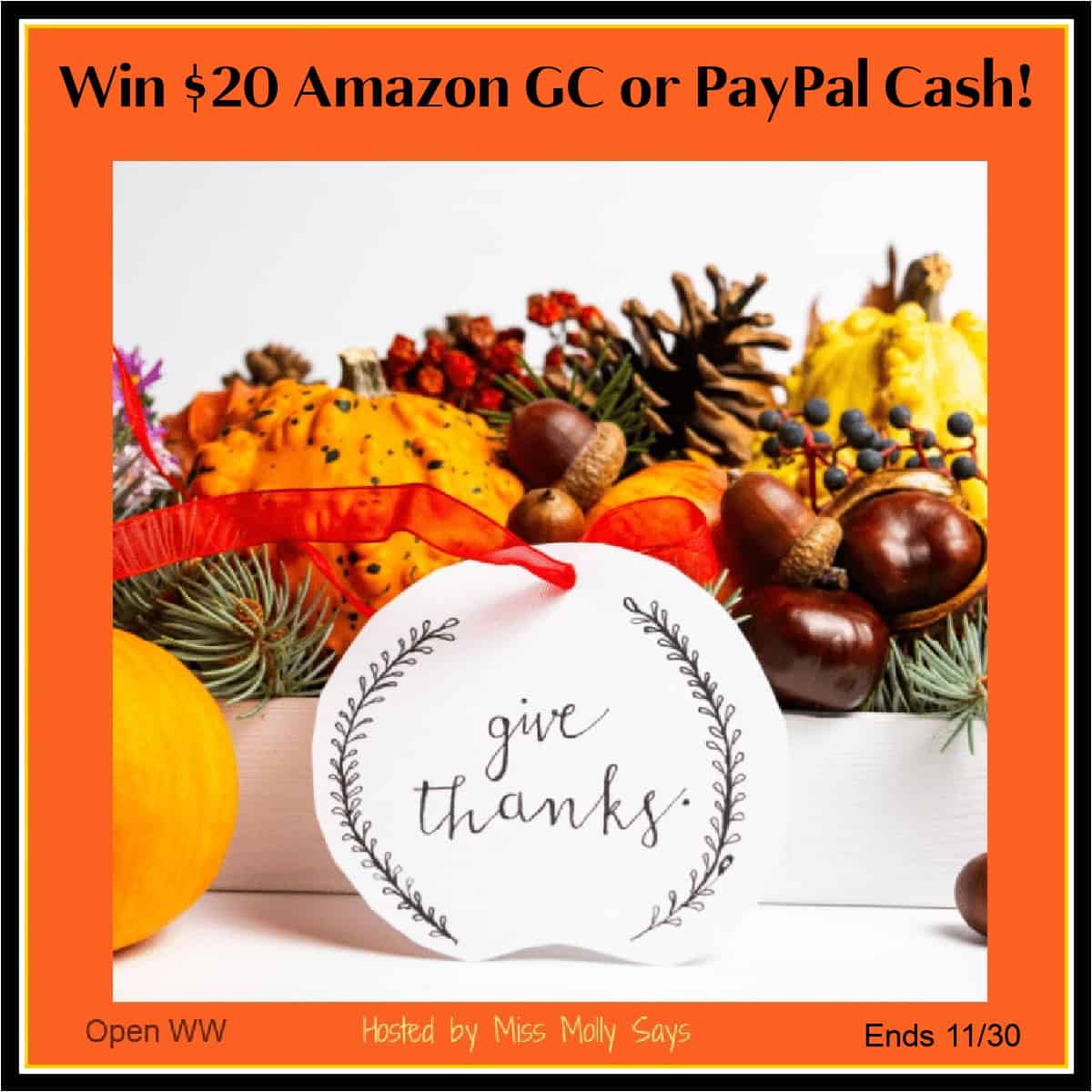 Win $20 Amazon GC or Paypal Cash Win $20 Amazon GC or Paypal Cash