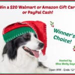Win a $20 Walmart or Amazon Gift Card or PayPal Cash giveaway