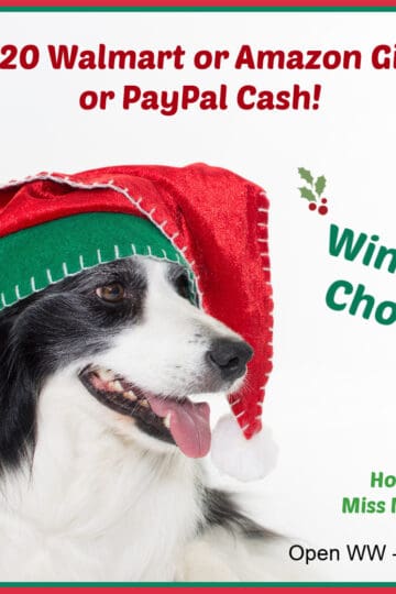 Win a $20 Walmart or Amazon Gift Card or PayPal Cash giveaway