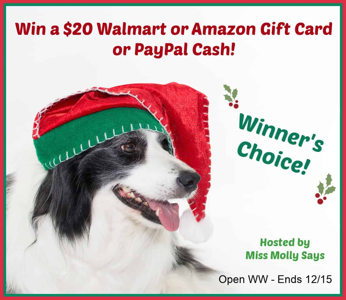 Win a $20 Walmart or Amazon Gift Card or PayPal Cash giveaway Win a $20 Walmart or Amazon Gift Card or PayPal Cash giveaway