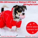 Win $20 Amazon or Walmart Gift Card or PayPal Cash Winter Wishes Giveaway