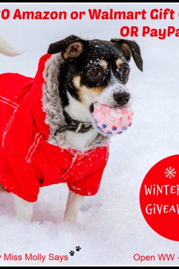 Win $20 Amazon or Walmart Gift Card or PayPal Cash Winter Wishes Giveaway