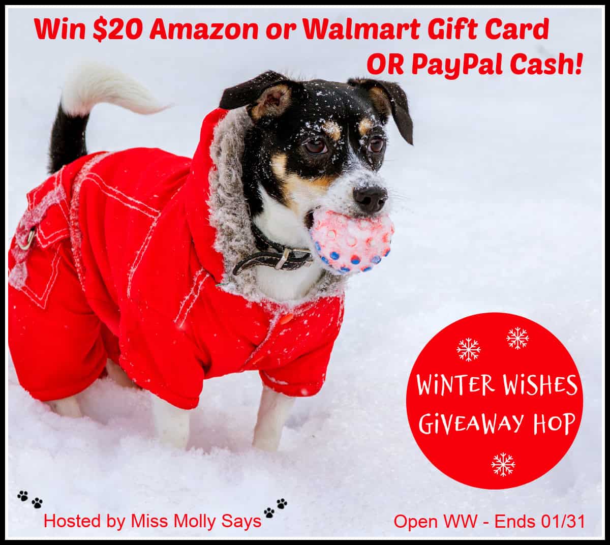 Win $20 Amazon or Walmart Gift Card or PayPal Cash Winter Wishes Giveaway Win $20 Amazon or Walmart Gift Card or PayPal Cash Winter Wishes Giveaway