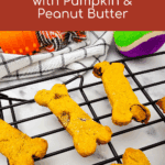 Homemade Cranberry Dog Treats with Pumpkin & Peanut Butter
