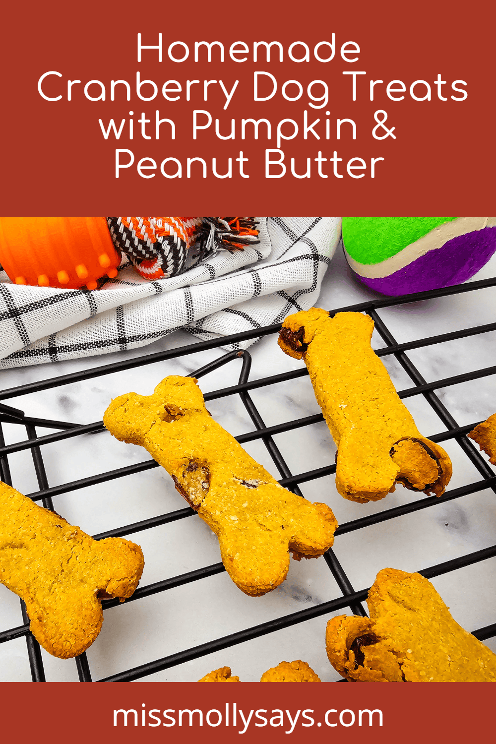 Homemade Cranberry Dog Treats with Pumpkin & Peanut Butter