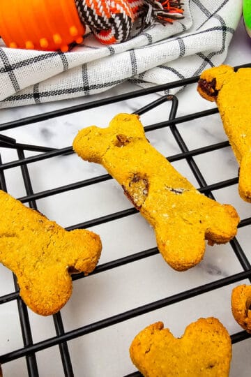 Homemade Cranberry Dog Treats with Pumpkin & Peanut Butter