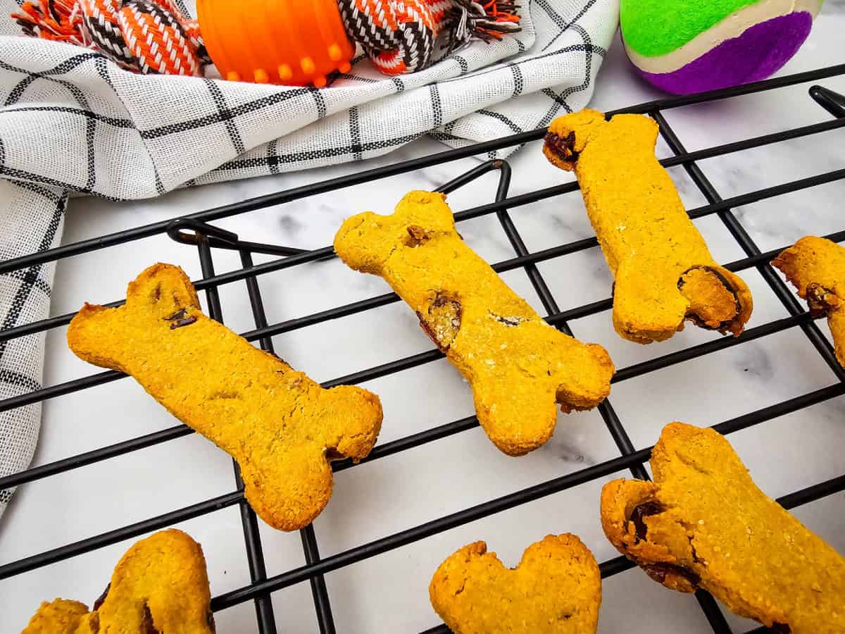Homemade Cranberry Dog Treats with Pumpkin & Peanut Butter