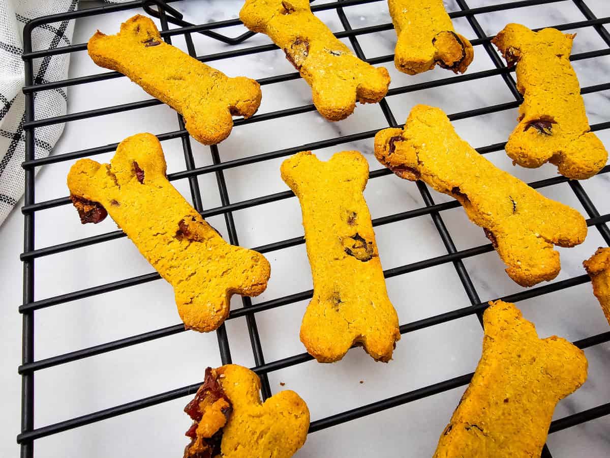 Homemade Cranberry Dog Treats with Pumpkin & Peanut Butter Homemade Cranberry Dog Treats with Pumpkin & Peanut Butter