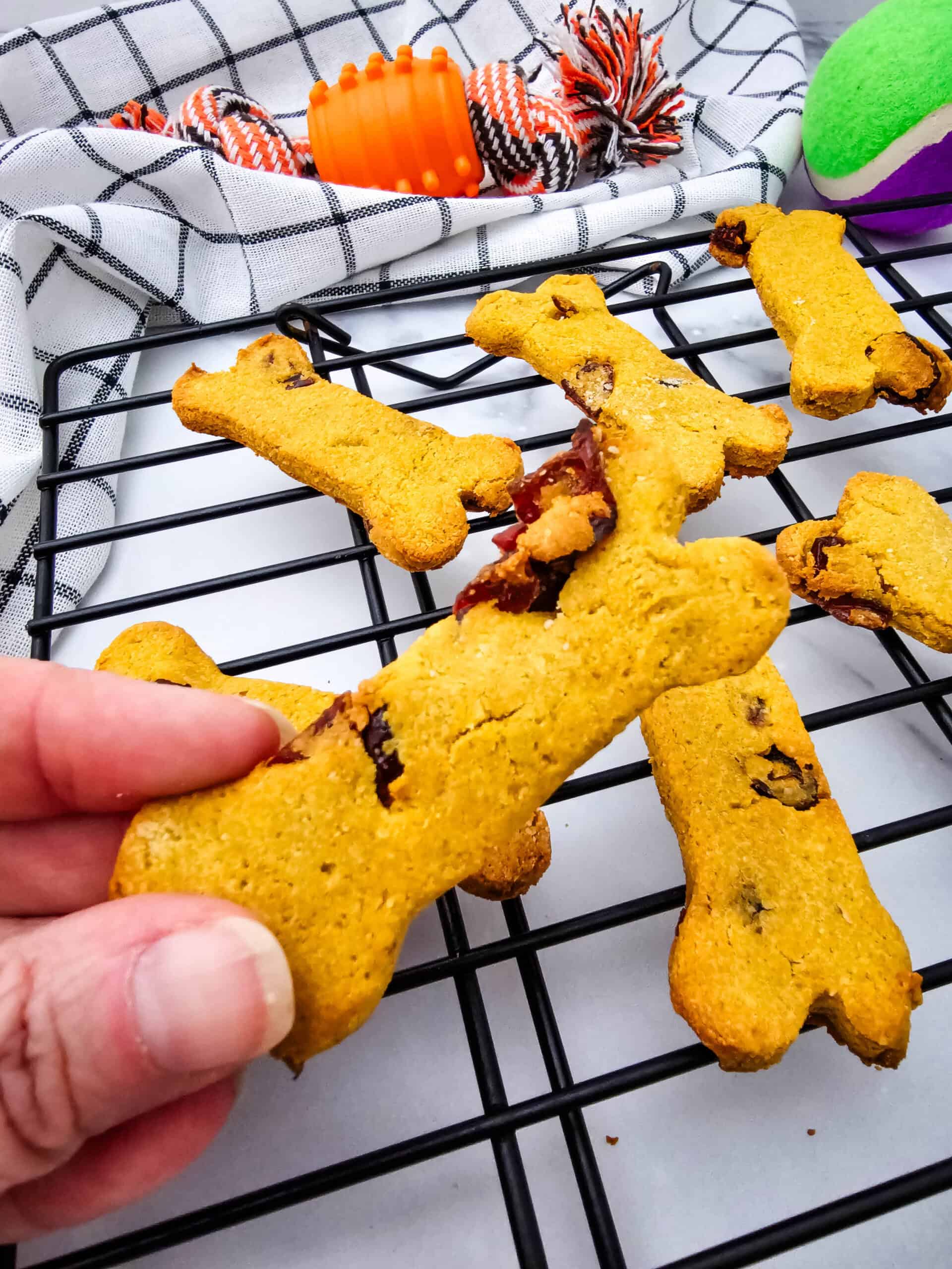 Homemade Cranberry Dog Treats with Pumpkin & Peanut Butter Homemade Cranberry Dog Treats with Pumpkin & Peanut Butter