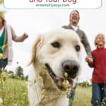 5 Tail-Wagging Adventures in the Cotswolds for You and Your Dog