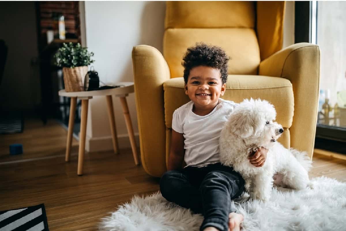 Smart Home Design Materials For Families With Kids And Dogs