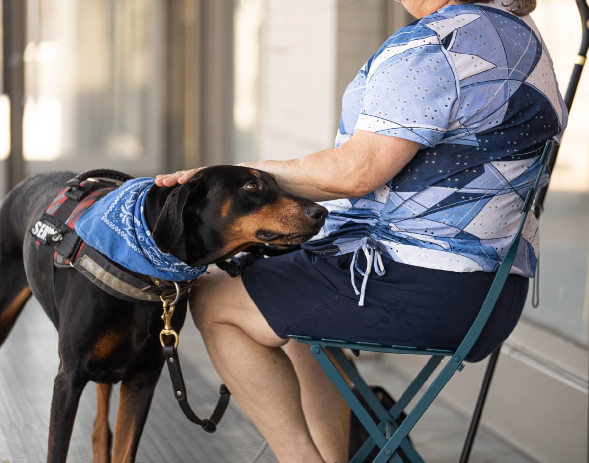Black and tan service dog with a woman who is sitting in a chair Black and tan service dog with a woman who is sitting in a chair