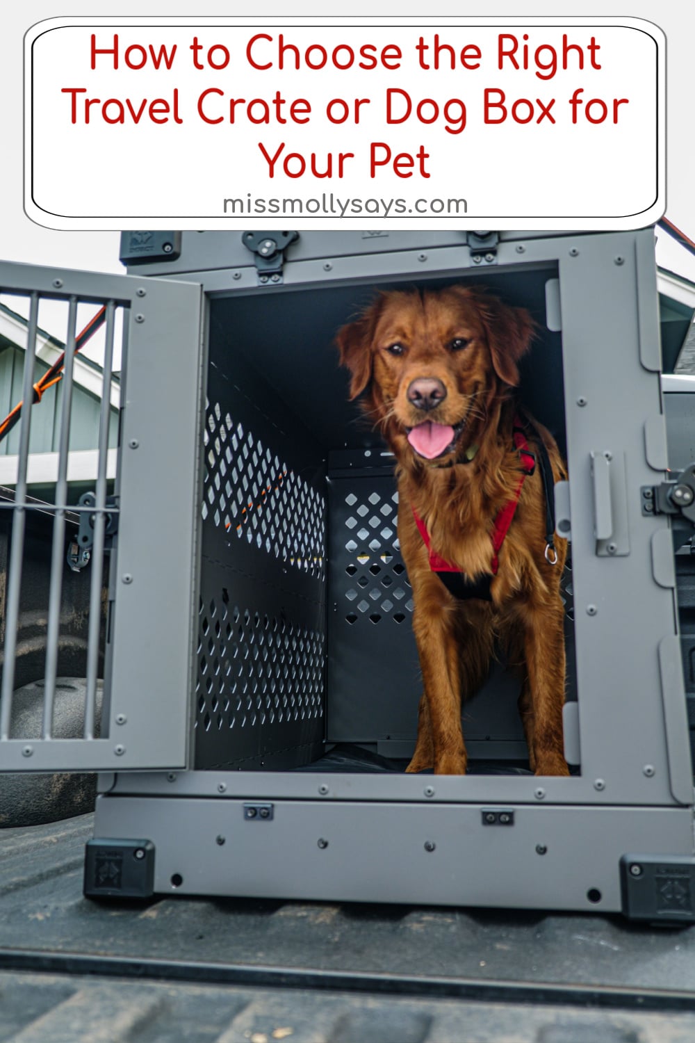 How to Choose the Right Travel Crate or Dog Box for Your Pet