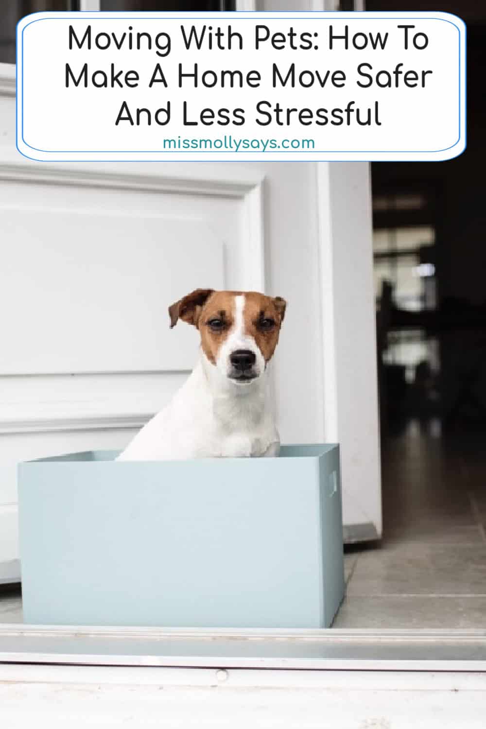 Moving With Pets: How To Make A Home Move Safer And Less Stressful Moving With Pets: How To Make A Home Move Safer And Less Stressful