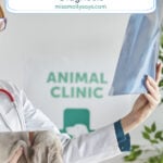 The First Test Didn't Explain It: How Vets Piece Together a Pet's Diagnosis