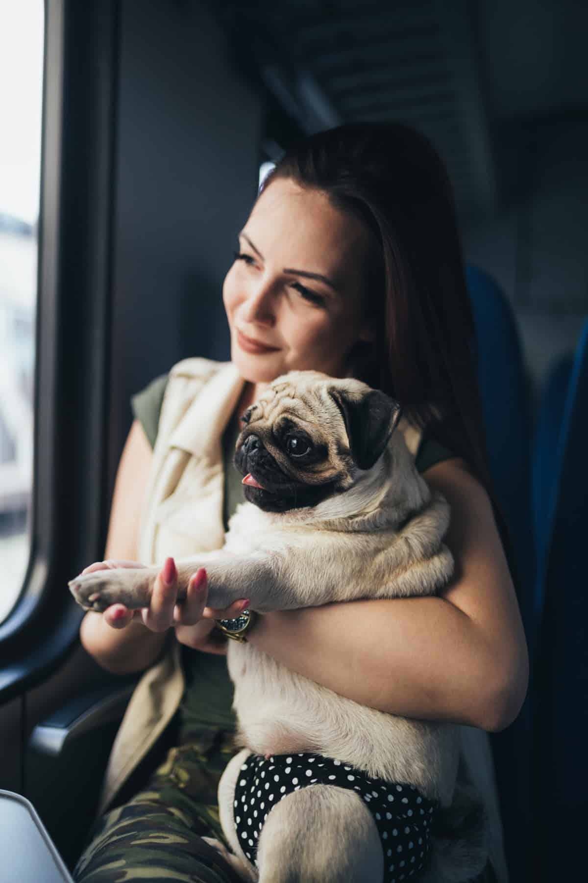 Woman holding a pug Woman holding a pug